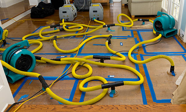 Professional Water Extraction technician working in Thorn Hill, TN